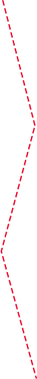 Customized process