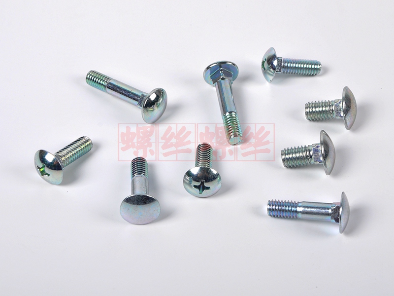 Carriage-bolt3